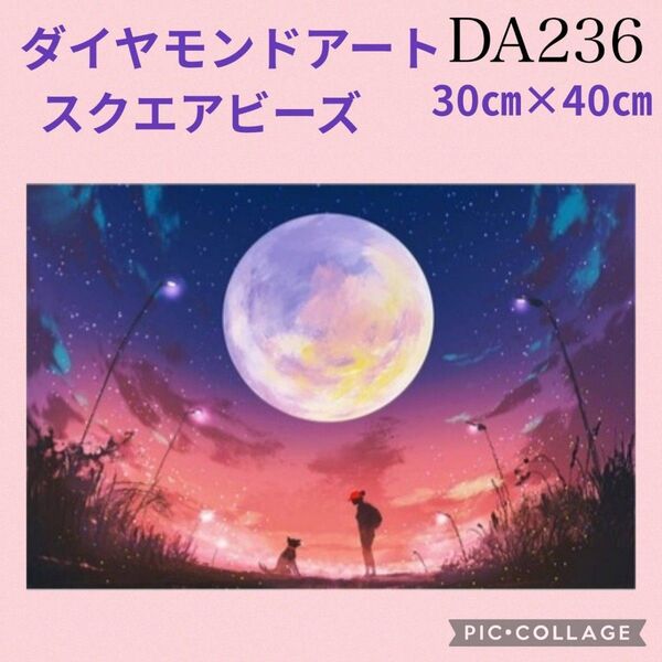 DA236★ダイヤモンドアートキット★スクエアビーズ