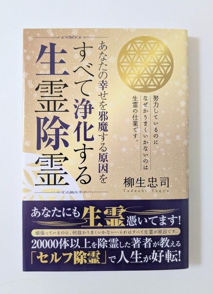 すべて浄化する生霊除霊 占い 開運 自己啓発 柳生忠司