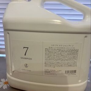 コタシャンプー7番