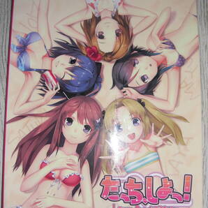 たっち、しよっ!-Love Application- 公式アートブック