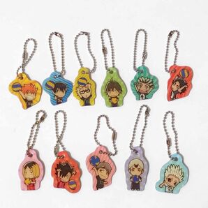 ハイキュー!!■メタルコレクション■11種 TO THE TOP メタルキーホルダー ボールチェーン 11個まとめて