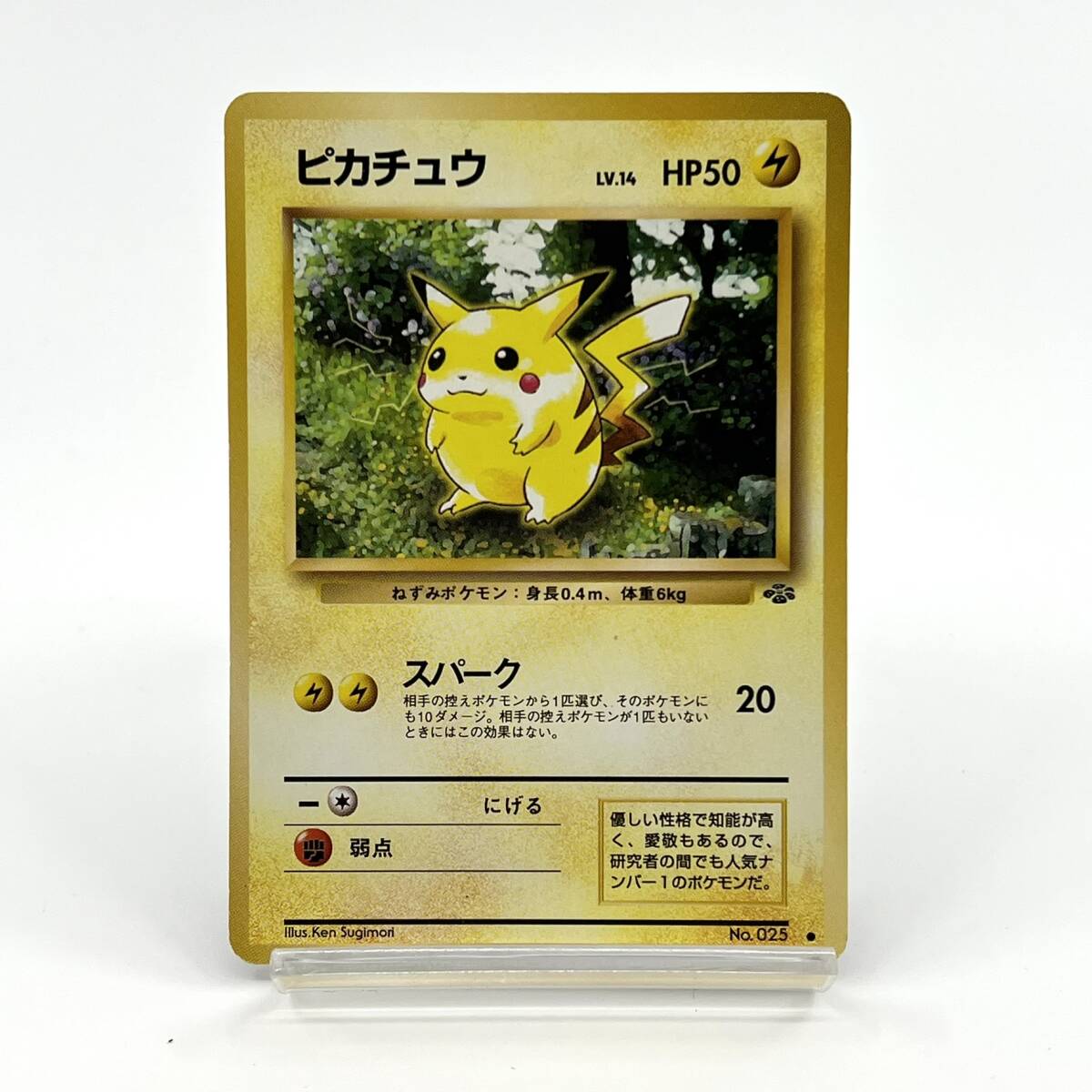 2025年最新】Yahoo!オークション -ポケモンカード 旧裏面 2025年最新】Yahoo!オークション -ポケモンカード 旧裏面