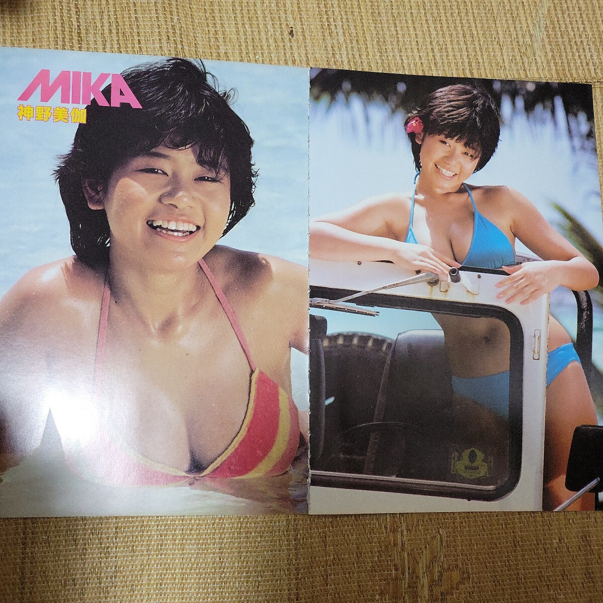 Yahoo!オークション -「神野美伽 水着」の落札相場・落札価格 Yahoo!オークション -「神野美伽 水着」の落札相場・落札価格