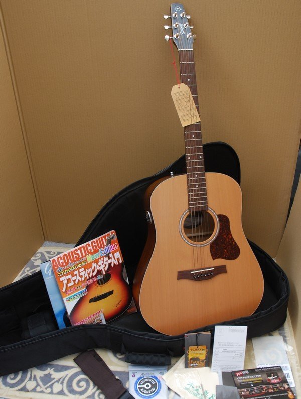 2025年最新】Yahoo!オークション -seagull ギターの中古品・新品