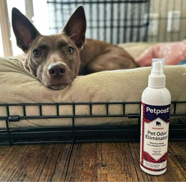 Petpost ! 犬 猫 ペット臭消臭スプレー 家の周り デオドラント 天然