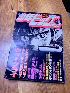 少年 ビッグ コミック 1982年 NO.05 みゆき あだち充 私立男塾 ウォー・クライ エリア88 一撃伝 ボクら退屈族