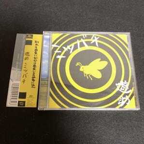 遊助 / ミツバチ
