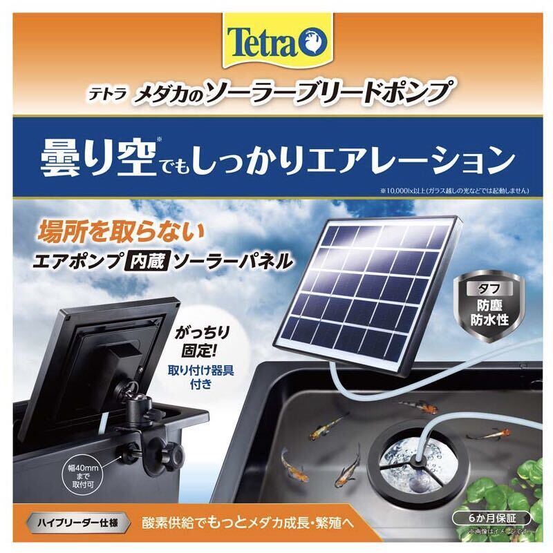 【未使用】エアーポンプ+フィルターセット【7個】 楽天市場】水槽 フィルタ— メダカ 飼育 アクアリウムGEX メダカ