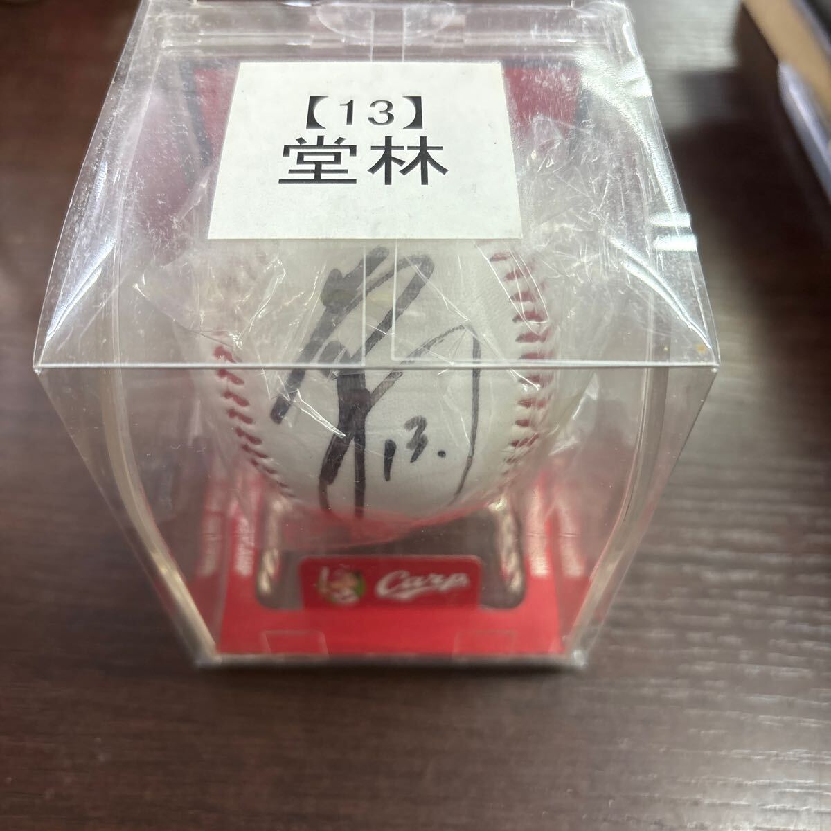 2025年最新】Yahoo!オークション -堂林翔太 サインの中古品 2025年最新】Yahoo!オークション -堂林翔太 サインの中古品