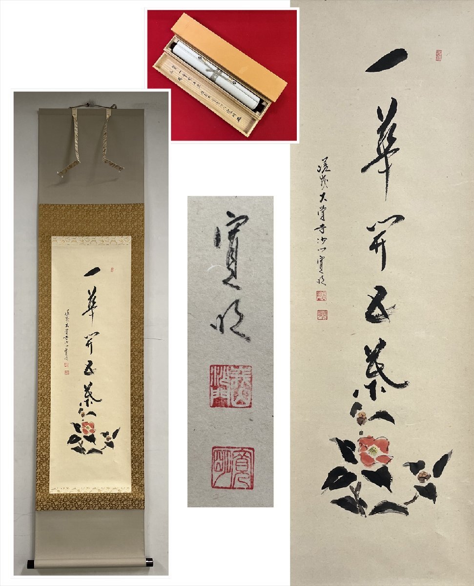 茶道具 掛軸 掛け軸 一行 一華開五葉 戸上明道筆 茶道 : 茶道具