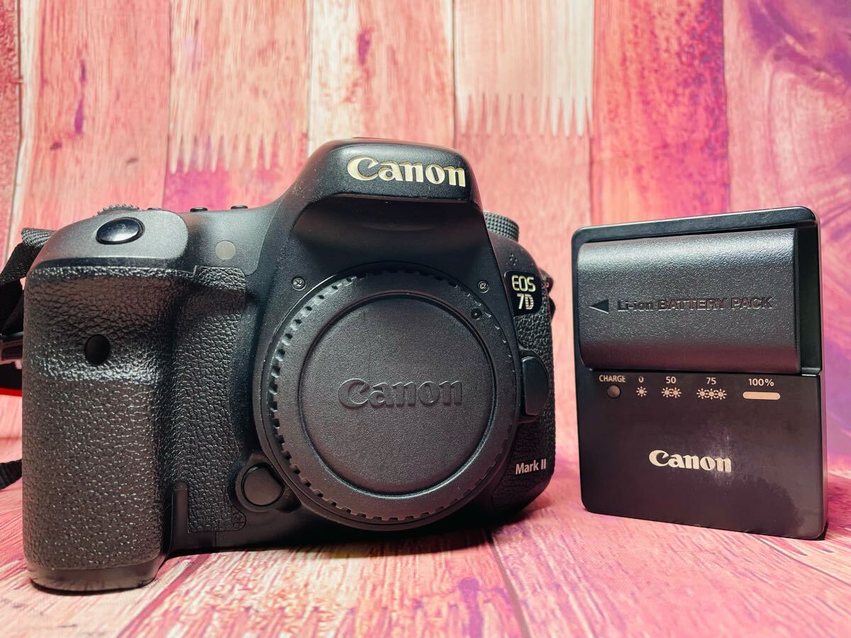 2025年最新】Yahoo!オークション -canon eos7の中古品・新品・未 2025年最新】Yahoo!オークション -canon eos7の中古品・新品・未