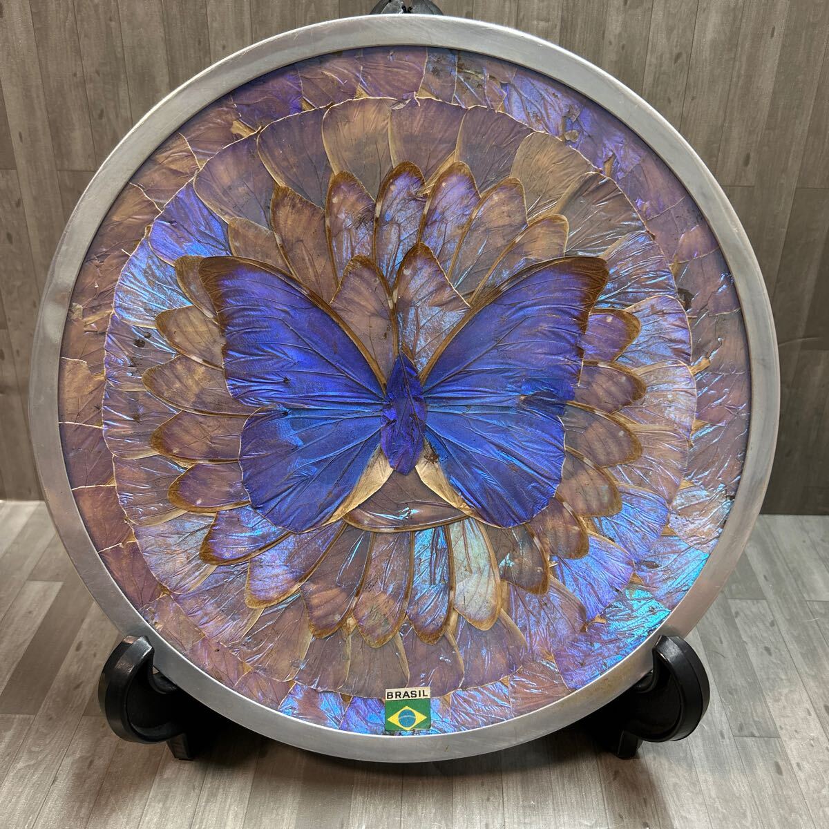2025年最新】Yahoo!オークション -モルフォ蝶 羽の中古品・新品 2025年最新】Yahoo!オークション -モルフォ蝶 羽の中古品・新品