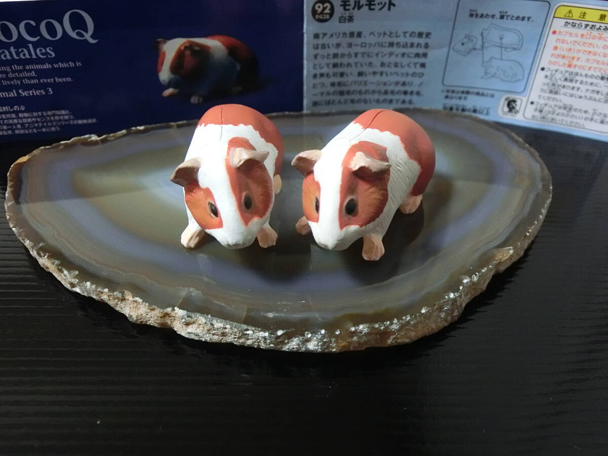 2025年最新】Yahoo!オークション - 日本の動物コレクション 2025年最新】Yahoo!オークション - 日本の動物コレクション