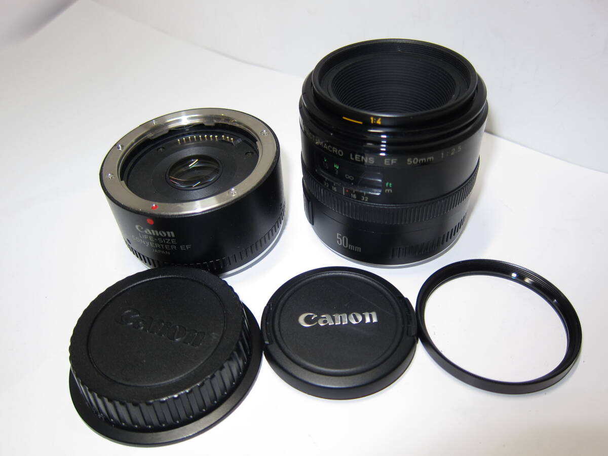 Yahoo!オークション -「ef50mm f2.5 コンパクトマクロ」(家電 Yahoo!オークション -「ef50mm f2.5 コンパクトマクロ」(家電