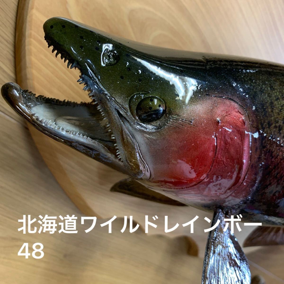 Yahoo!オークション -「魚 剥製」(その他) (フィッシング)の落札 Yahoo!オークション -「魚 剥製」(その他) (フィッシング)の落札