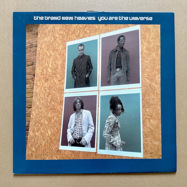 THE BRAND NEW HEAVIES /You Are The Universe 12インチシングル アナログ盤 中古