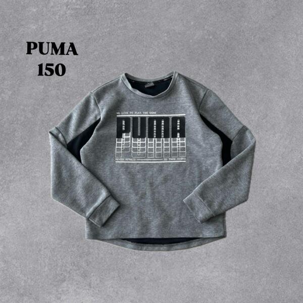 PUMA プーマ スウェット トレーナー グレー ブラック 150cm