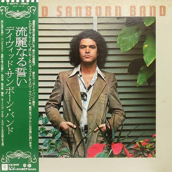 匿名・送料無料! デイヴィッド・サンボーン/David Sanborn LPレコード 「流麗なる誓い/Promise Me the Moon」