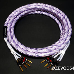 ◆新品・受注生産品・メタルプラグ◆QED Signature Genesis Silver Spiral バナナ - バナナ 1.0mペア