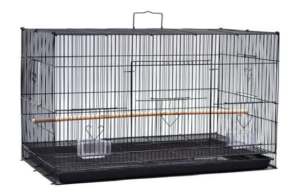 2025年最新】Yahoo!オークション -鳥かご(鳥)の中古品・新品・未