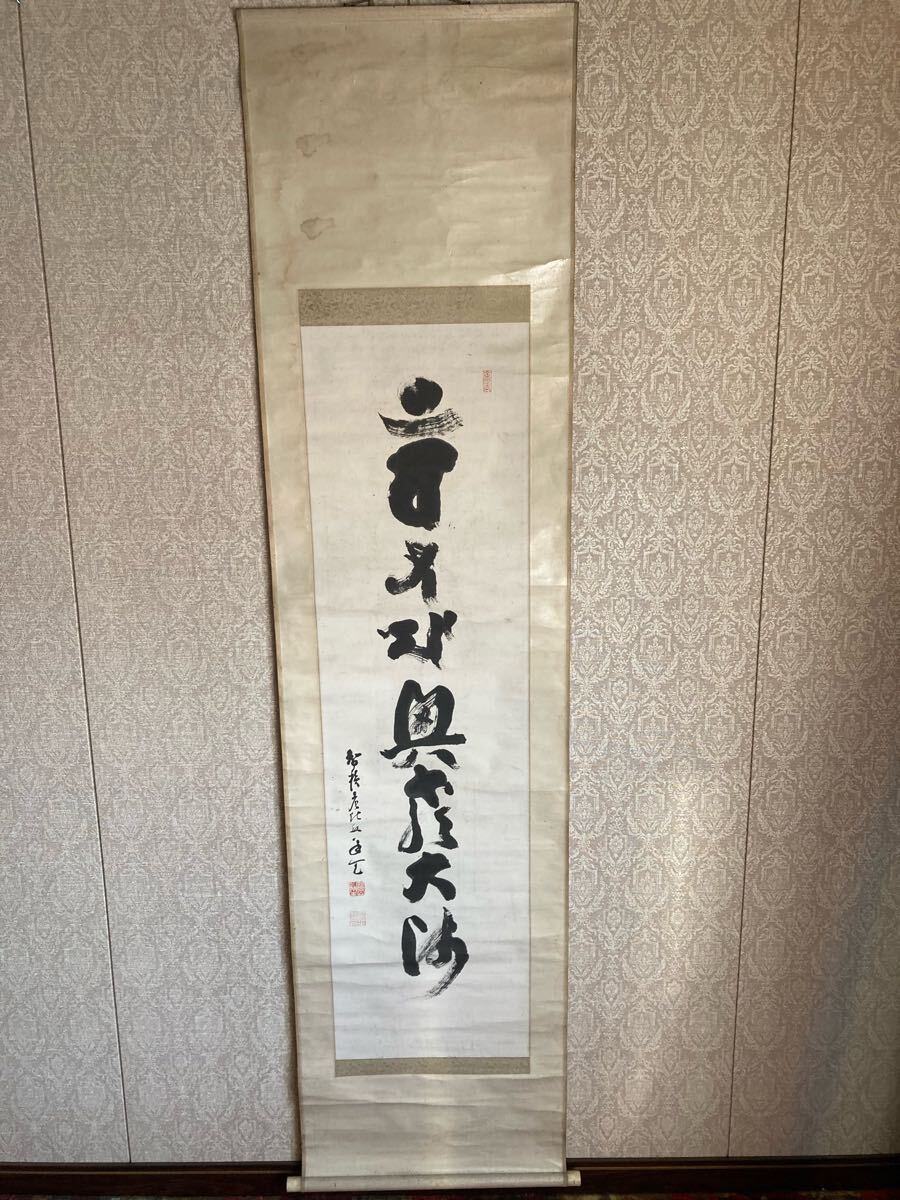 2025年最新】Yahoo!オークション -掛け軸 肉筆 虎(美術品)の中古 2025年最新】Yahoo!オークション -掛け軸 肉筆 虎(美術品)の中古