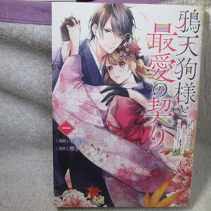☆☆☆ 鴉天狗様と最愛の契り~落ちこぼれの私が、最強のあやかしに執着されるまで~ 1巻 七瀬なつ/琴子 初版 ☆☆☆