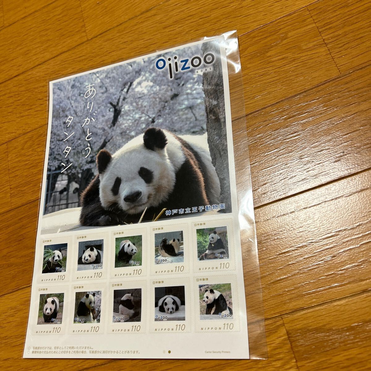 kittepanda2.jpg