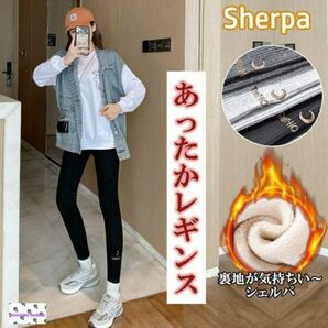 種類2:L/ブラック レギンス あったか 暖かい 裏起毛 レディース 発熱 暖か