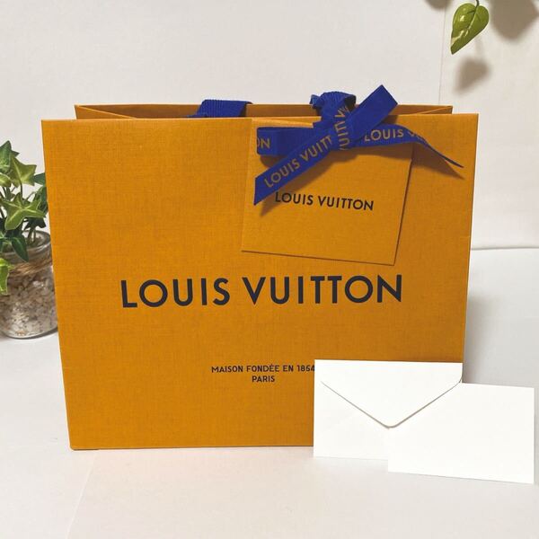 ルイヴィトン「LOUIS VUITTON」ショッパー 小物箱サイズ (4779) 正規品 付属品 ショップ袋 ブランド紙袋 22×18×11.5cm 折らずに配送