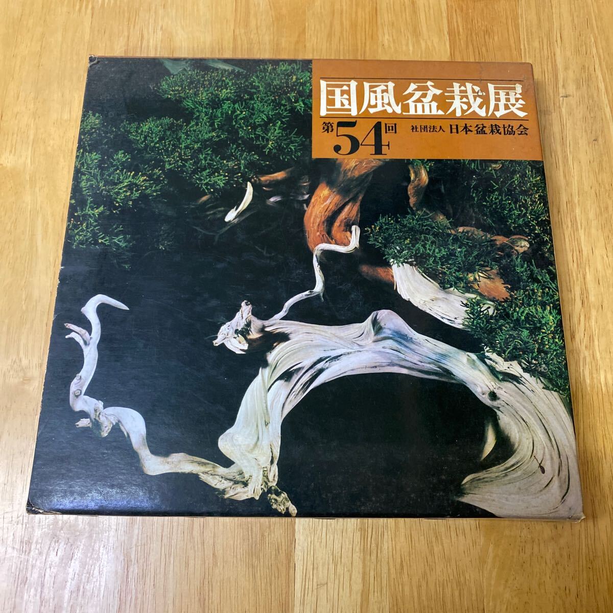 2025年最新】Yahoo!オークション -国風盆栽展の中古品・新品・未