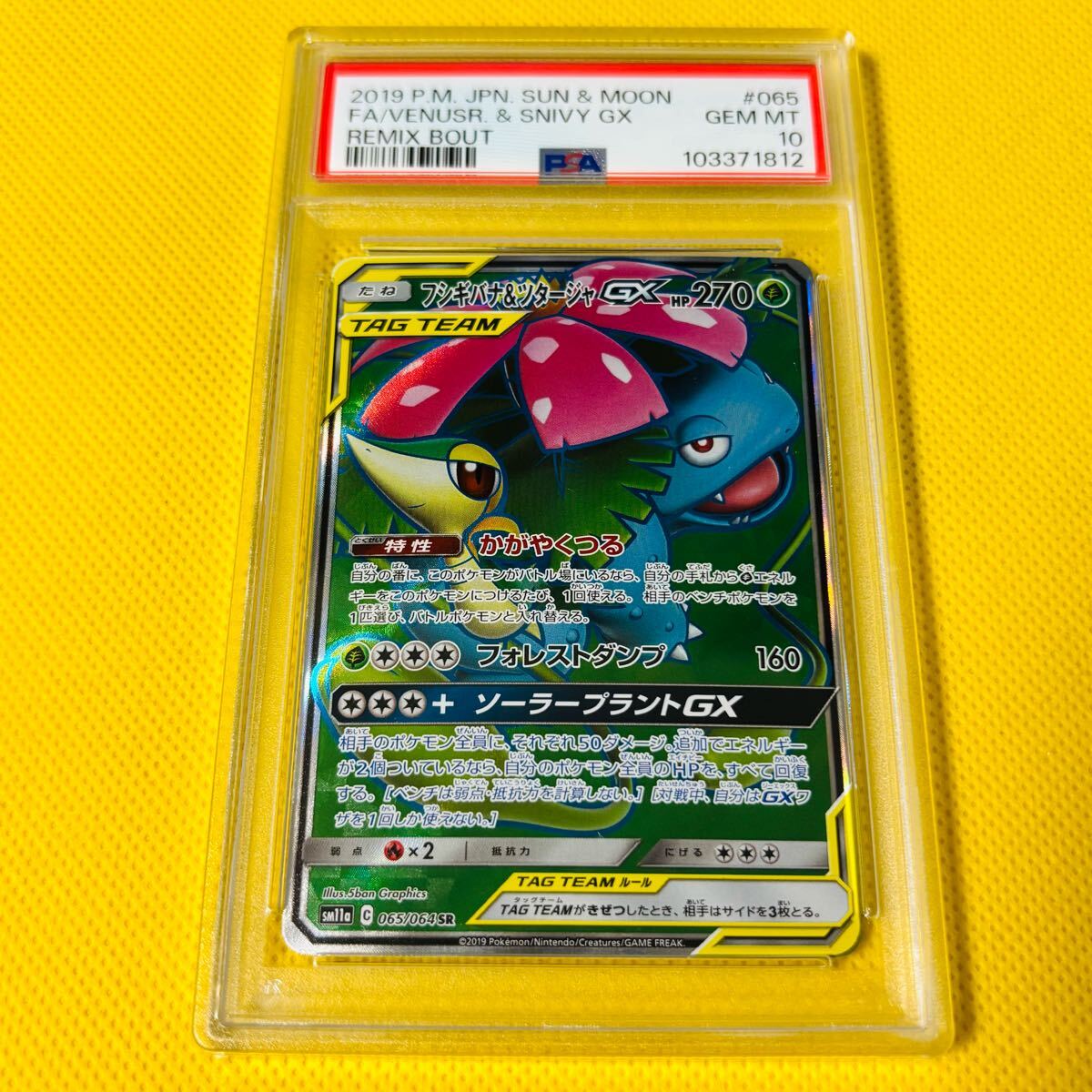 2025年最新】Yahoo!オークション -フシギバナ psa10の中古品 2025年最新】Yahoo!オークション -フシギバナ psa10の中古品