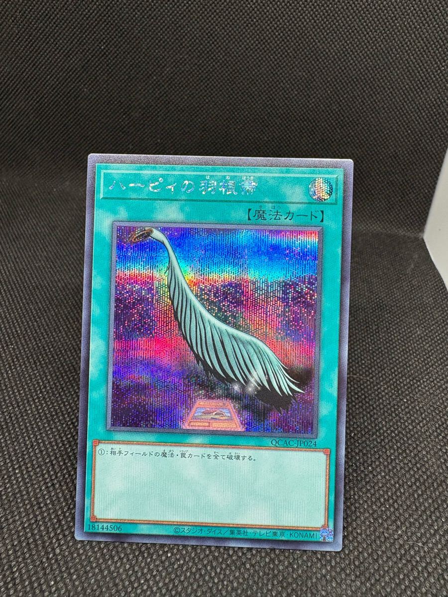 遊戯王 ハーピィの羽根箒 絵違い クオシク 25thシークレット