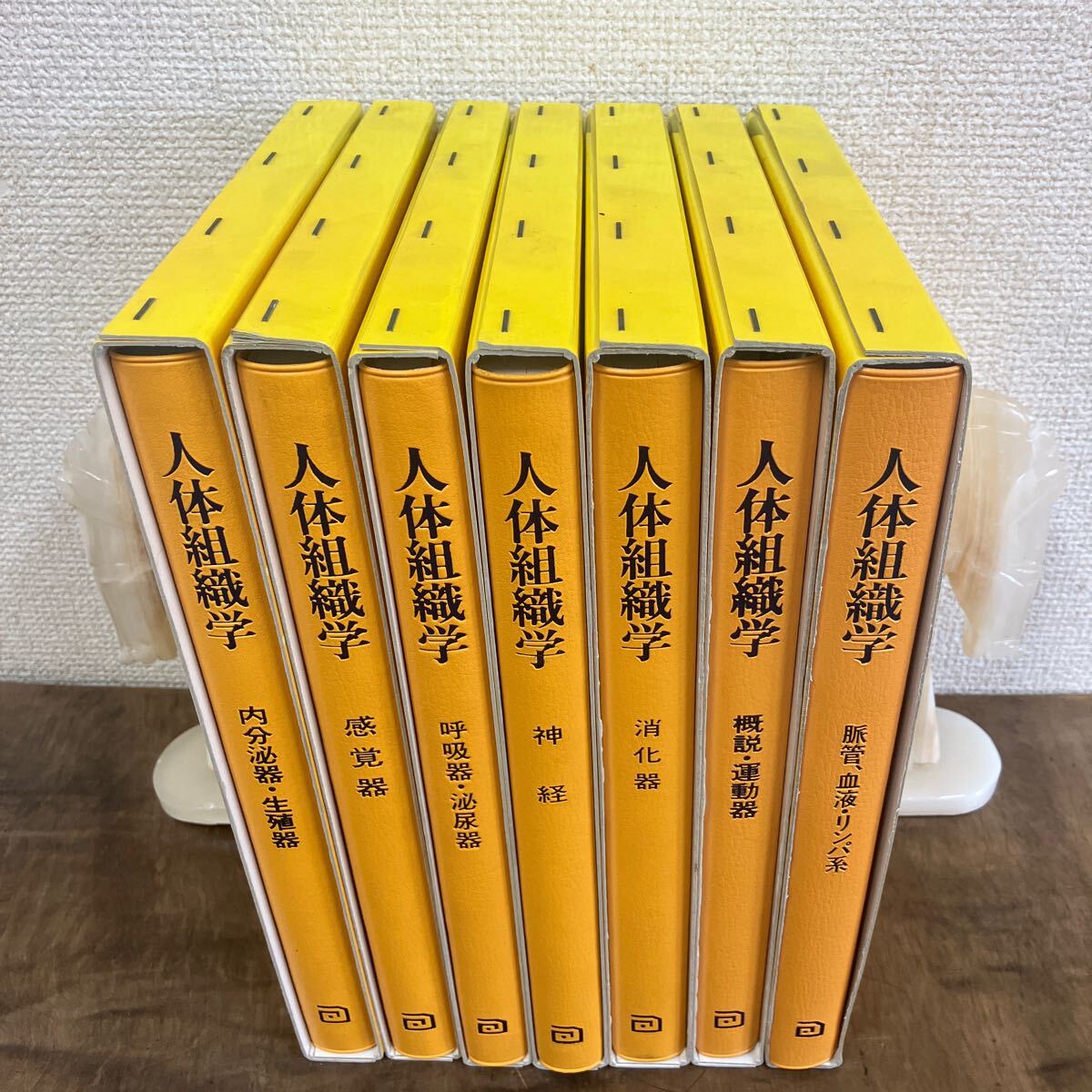 人体組織学  ３ /朝倉書店/小川和朗（大型本） 人体組織学 3 /朝倉書店/小川和朗（大型本）