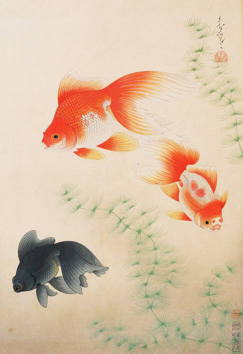 2025年最新】Yahoo!オークション -浮世絵 金魚の中古品・新品 2025年最新】Yahoo!オークション -浮世絵 金魚の中古品・新品