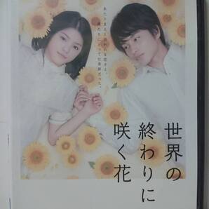 世界の終わりに咲く花 DVD/川島海荷 中村蒼 中野裕太 久保酎吉 吉見一豊 米村美咲 筒井真理子 羽田美智子 佐野史郎