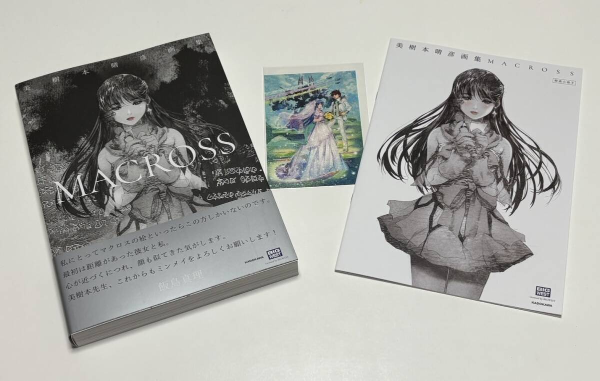 ‼️新品未開封‼️マクロスCD6飯島真理原画集セル画美樹本晴彦ポスターバルキリー 新品未開封‼️マクロスCD6飯島真理原画集セル画美樹本晴彦