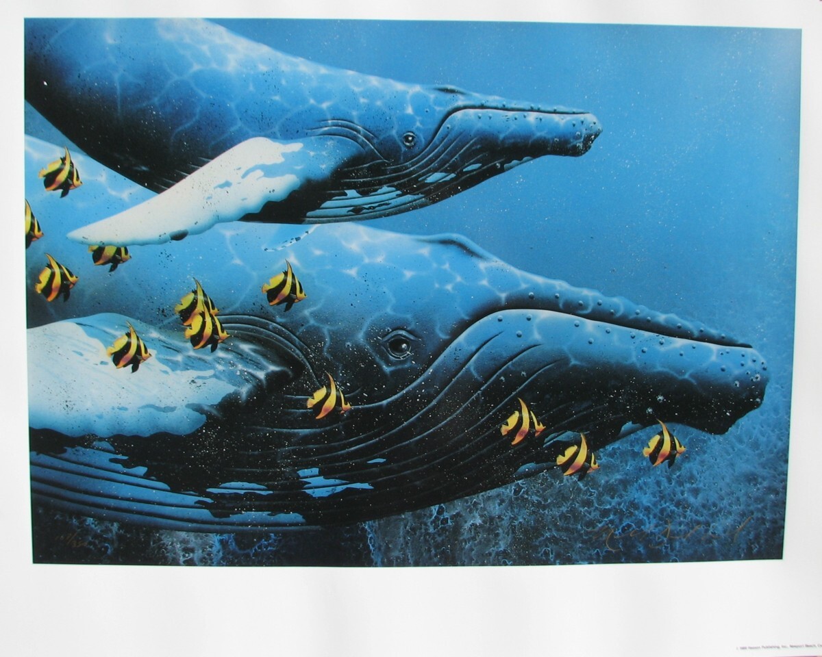 マイケルデビッドワード「ラプソディー」ミクストメディア版画、シートのみ Yahoo!オークション -「デビット」(シルクスクリーン) (版画)の