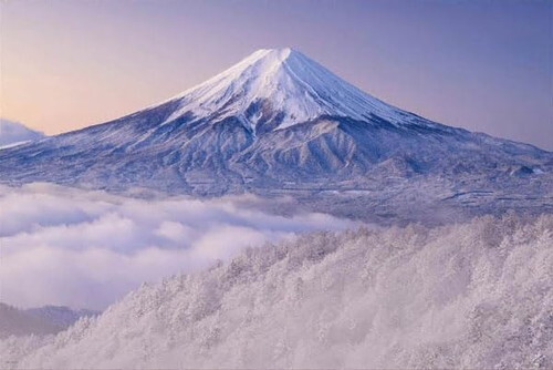 Yahoo!オークション -「ナイジェルマンセル」(パズル) の落札