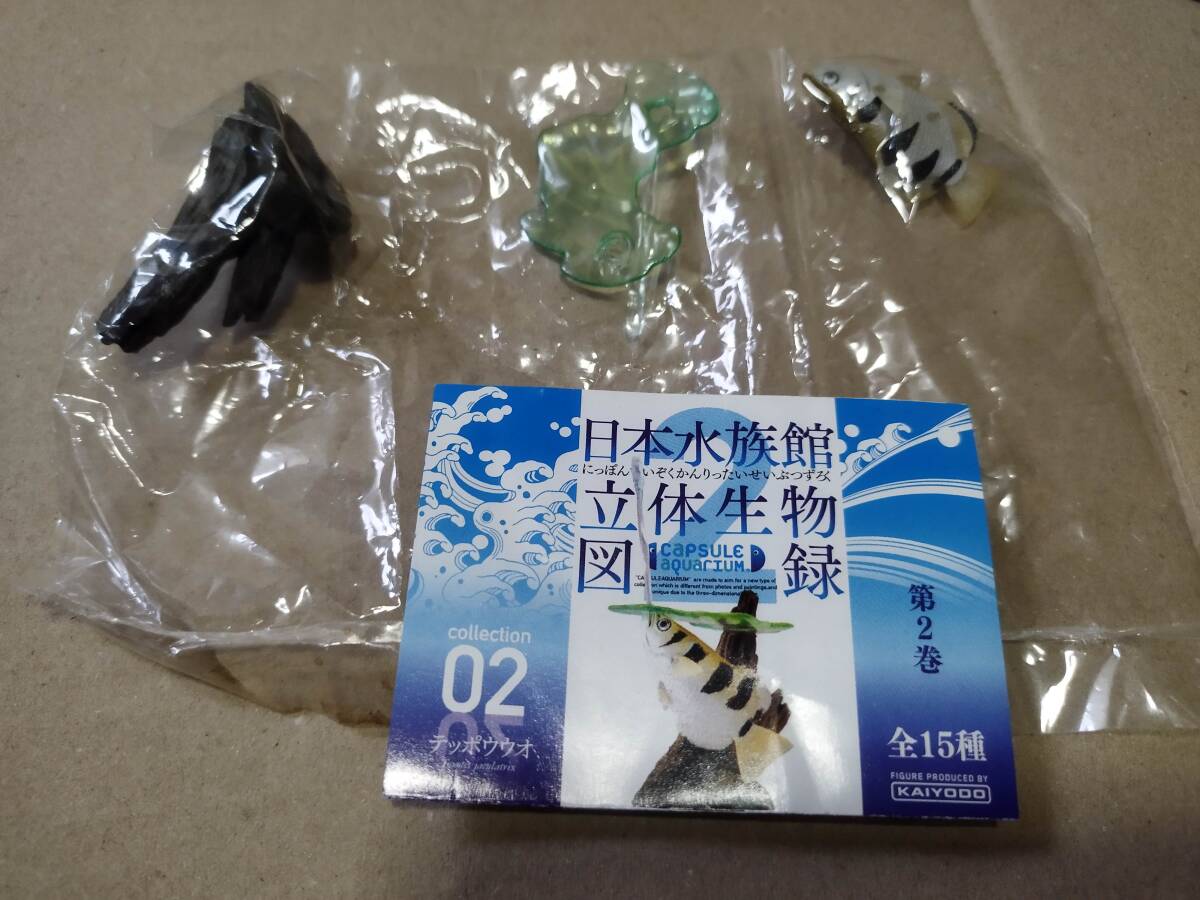 Yahoo!オークション -「海洋堂 日本水族館立体生物図録」の落札 Yahoo!オークション -「海洋堂 日本水族館立体生物図録」の落札