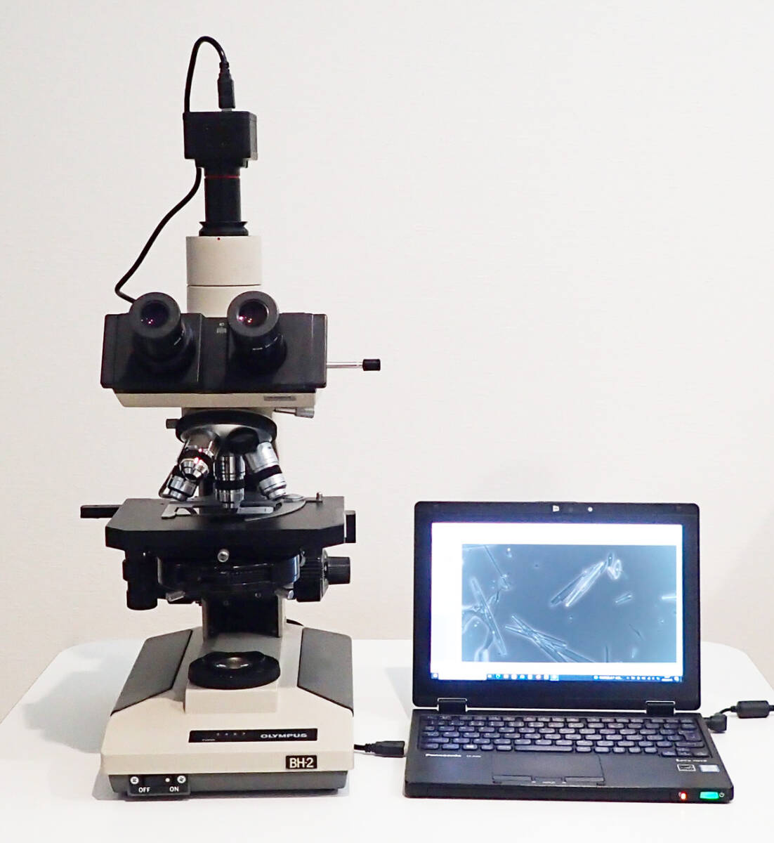2025年最新】Yahoo!オークション -olympus microscopeの中古品 2025年最新】Yahoo!オークション -olympus microscopeの中古品