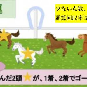 【馬連】●少ない点数、投資で的中●独自の統計で編み出した競馬予想法●通算回収率500%以上●
