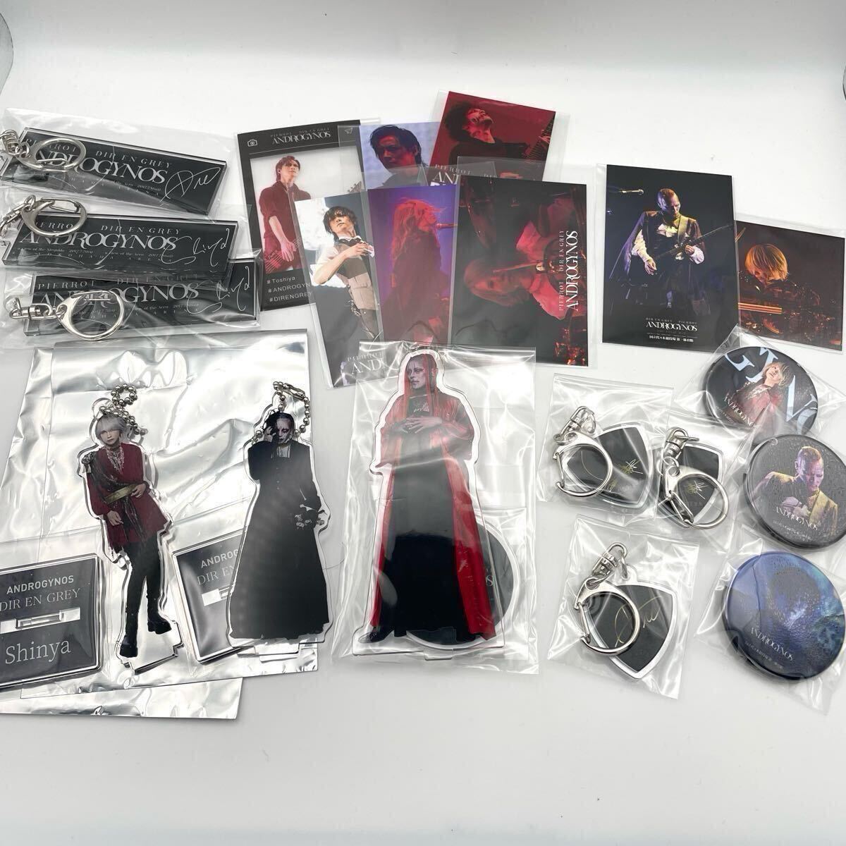 2025年最新】Yahoo!オークション -dir en grey shinyaの中古品 2025年最新】Yahoo!オークション -dir en grey shinyaの中古品