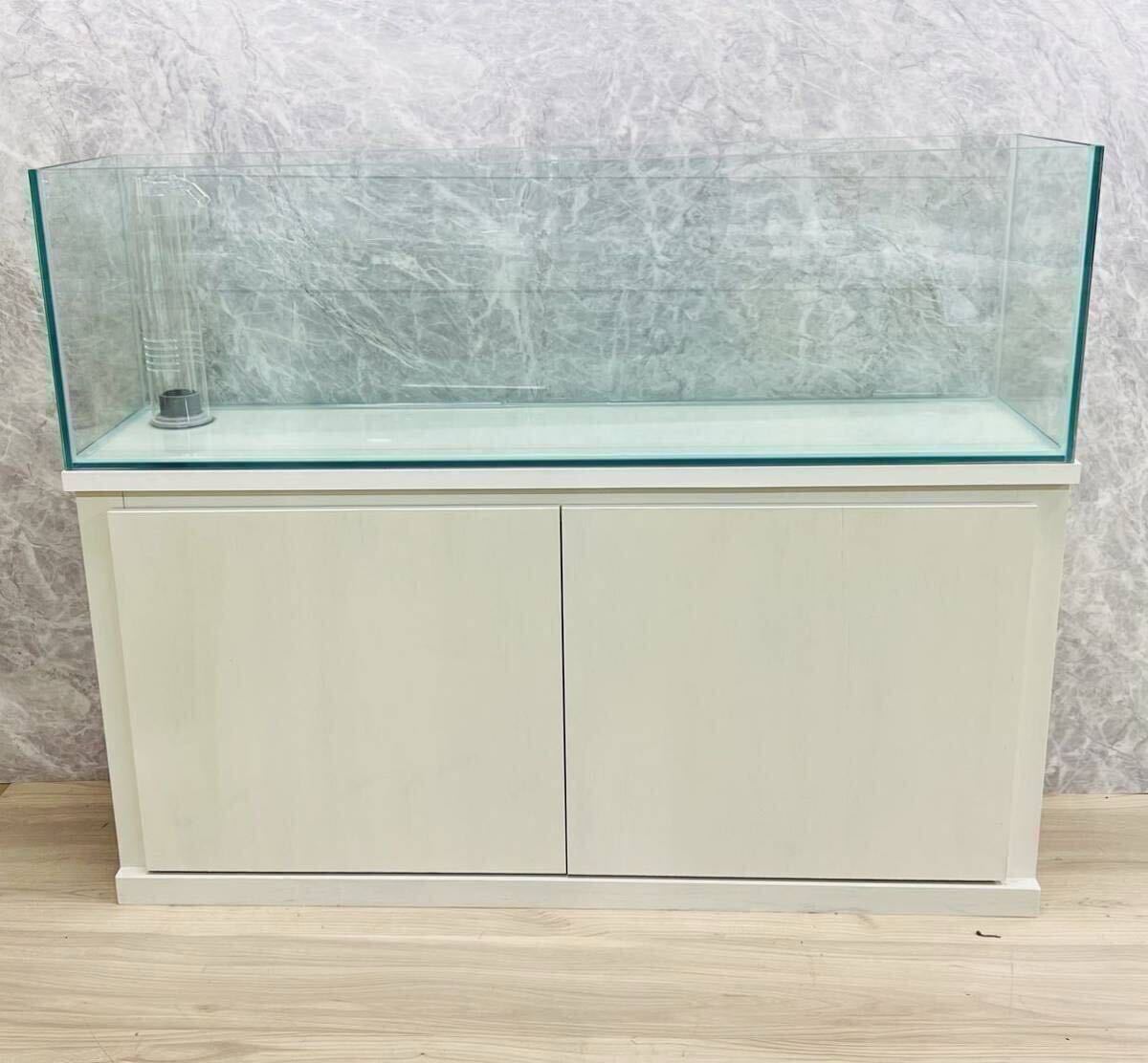 2025年最新】Yahoo!オークション -1200水槽(魚、水草)の中古品