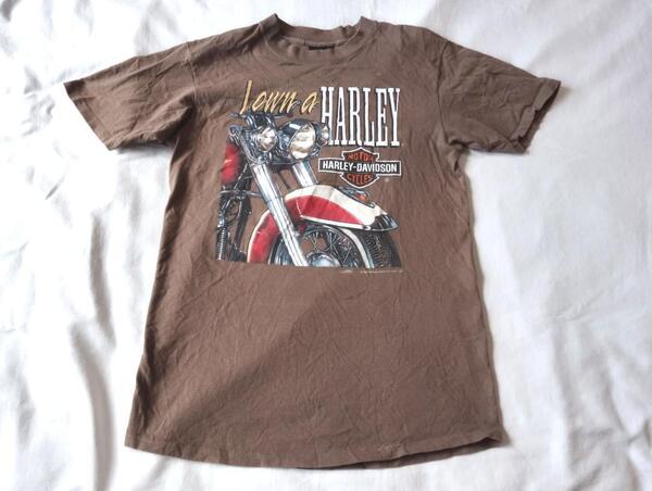 ハーレーダヴィッドソン Harley Davidson USA製TシャツL 90’s
