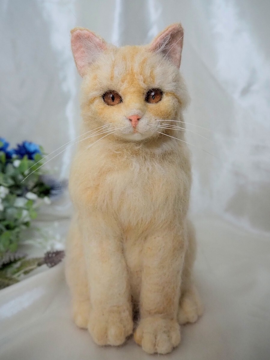 Yahoo!オークション -「羊毛フェルト 猫 スコティッシュ」の落札