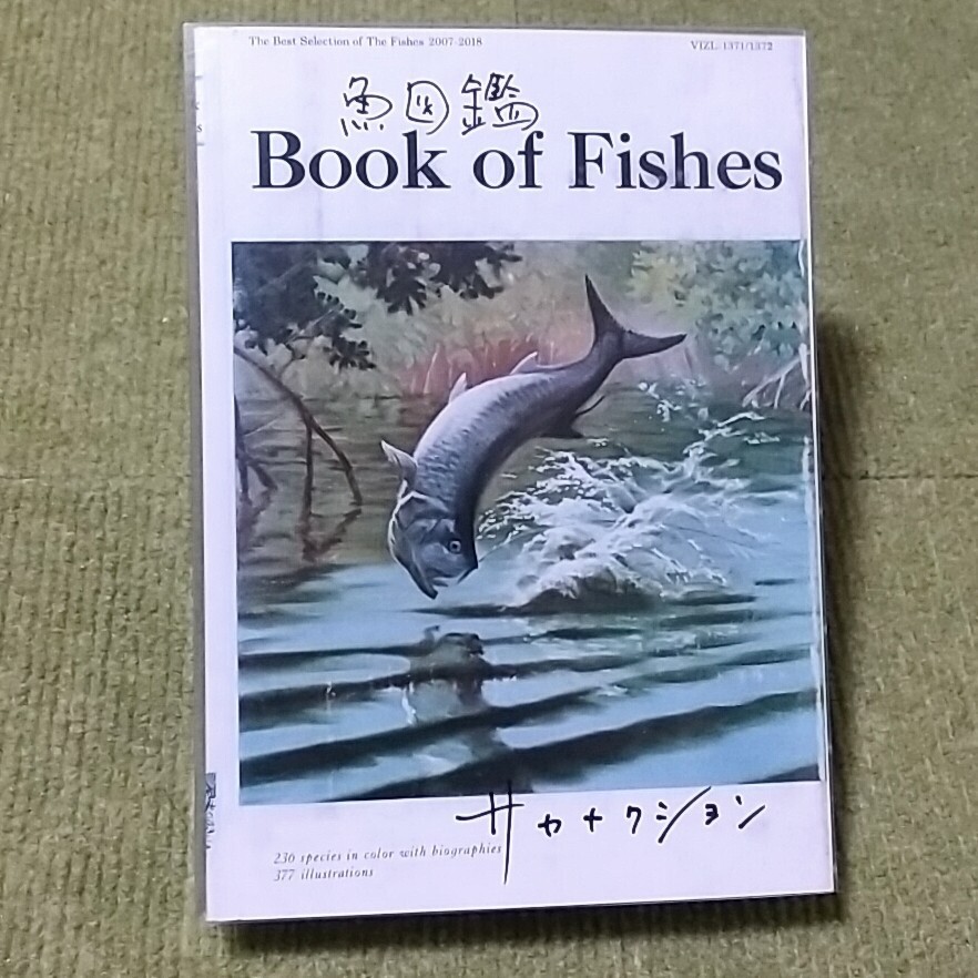 Yahoo!オークション -「サカナクション 魚図鑑」の落札相場 Yahoo!オークション -「サカナクション 魚図鑑」の落札相場