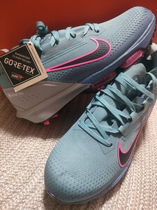 новый товар обычная цена 29700 NIKE GOLF Infinity Tour NEXT% 2 Gore-Tex 29cm Nike туфли для гольфа блюз пирог k водонепроницаемый zoom воздушный