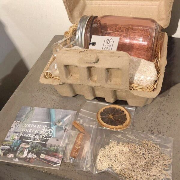 【即決/送料無料】URBANGREENMAKERS VINTAGEGLASSJAR TERRARIUMKIT05 ビンテージグラスジャーテラリウムキット アーバングリーンメーカーズ