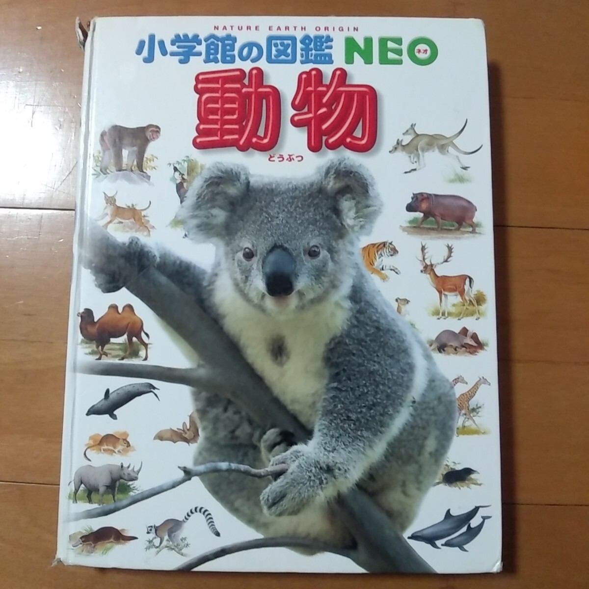 2025年最新】Yahoo!オークション -小学館動物図鑑の中古品・新品 2025年最新】Yahoo!オークション -小学館動物図鑑の中古品・新品