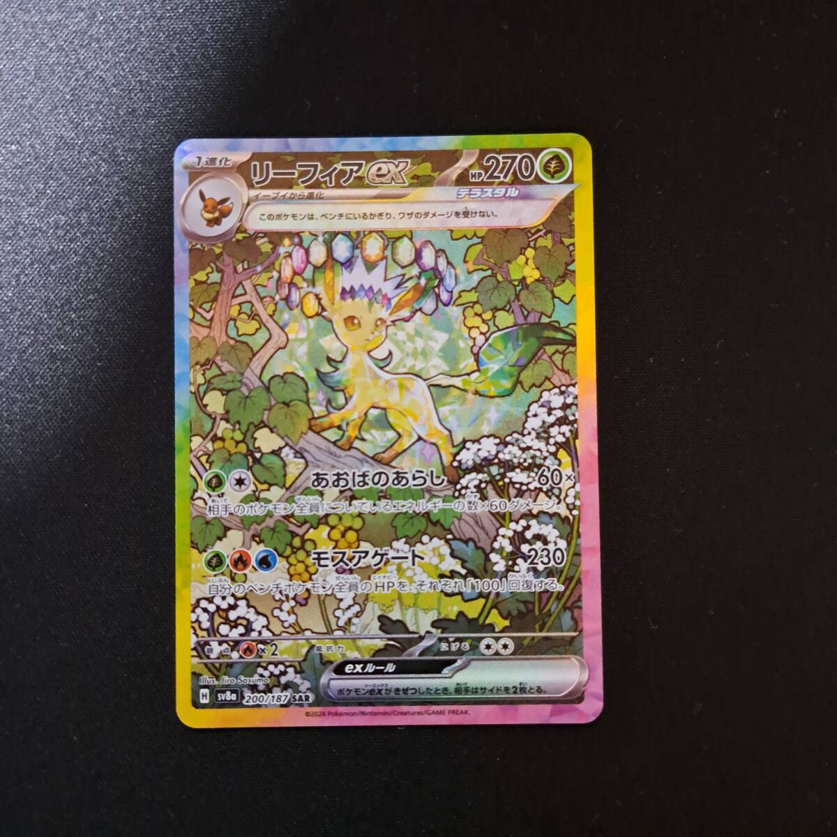 Yahoo!オークション -「ポケモンカード リーフィアex」の落札 Yahoo!オークション -「ポケモンカード リーフィアex」の落札